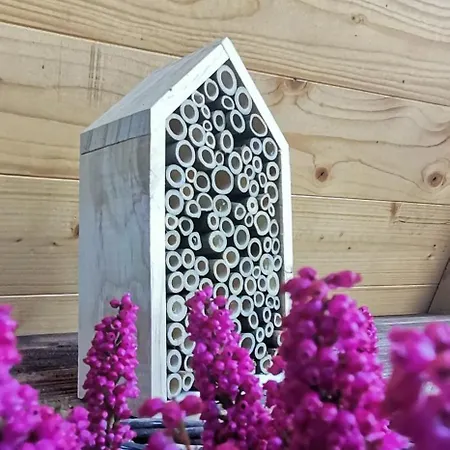 シャレー Stone - Luna *