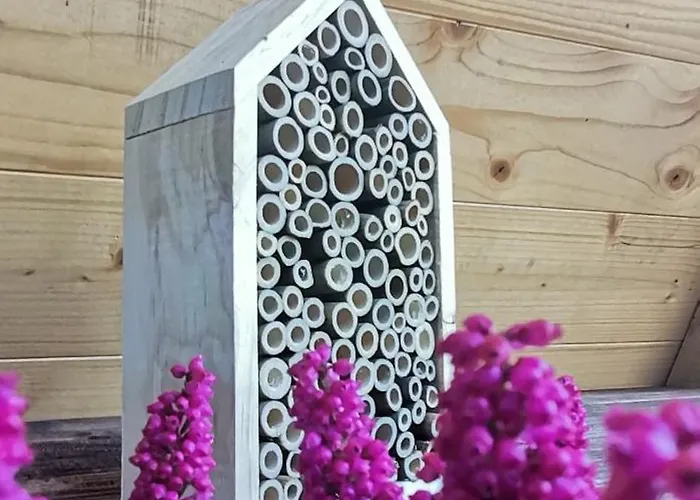 Chalet Stone - Luna *